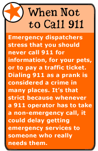 When Not to Call 911